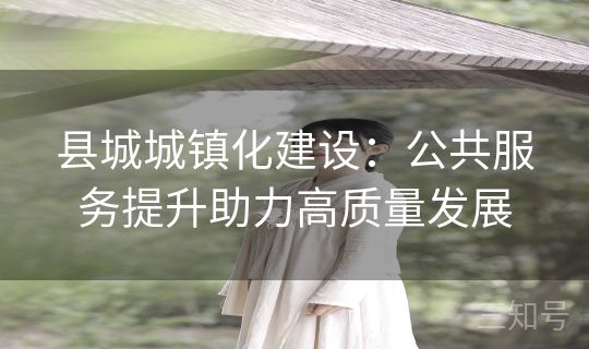 县城城镇化建设：公共服务提升助力高质量发展