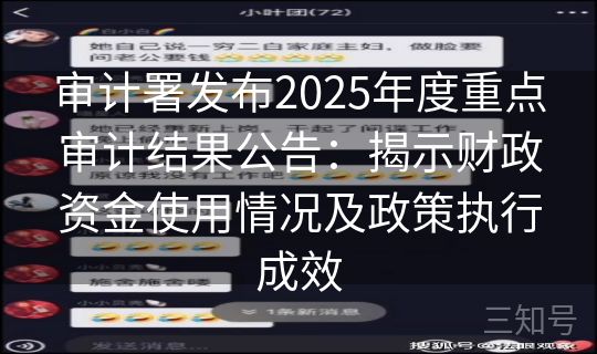 审计署发布2025年度重点审计结果公告：揭示财政资金使用情况及政策执行成效