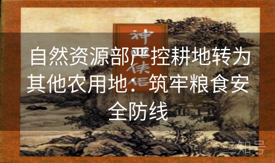 自然资源部严控耕地转为其他农用地：筑牢粮食安全防线
