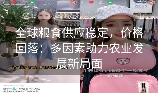 全球粮食供应稳定，价格回落：多因素助力农业发展新局面