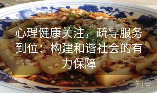 心理健康关注，疏导服务到位：构建和谐社会的有力保障