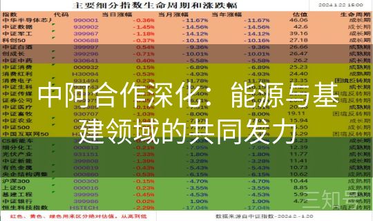 中阿合作深化：能源与基建领域的共同发力