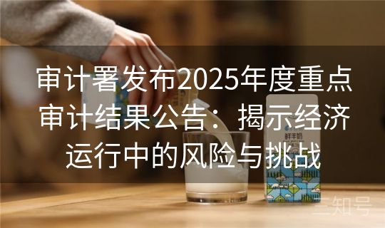 审计署发布2025年度重点审计结果公告：揭示经济运行中的风险与挑战