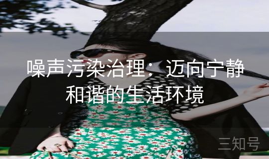 噪声污染治理:迈向宁静和谐的生活环境 噪声污染治理:迈向宁静和谐的生活环境