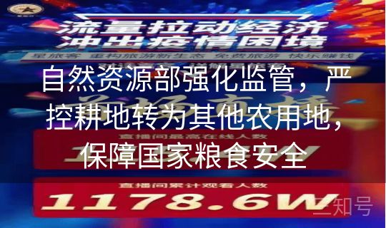 自然资源部强化监管，严控耕地转为其他农用地，保障国家粮食安全
