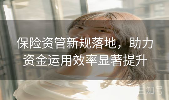 保险资管新规落地,助力资金运用效率显著提升 保险资管新规落地,助力资金运用效率显著提升
