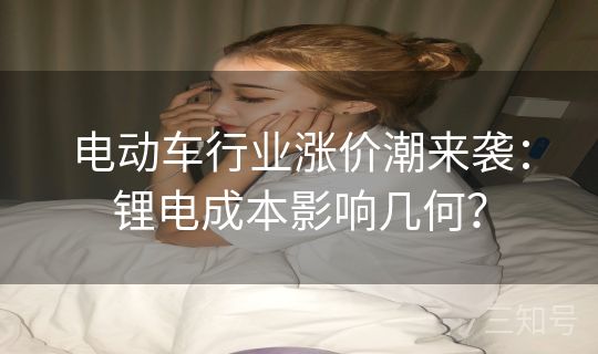 电动车行业涨价潮来袭:锂电成本影响几何? 电动车行业涨价潮来袭:锂电成本影响几何?