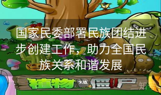 国家民委部署民族团结进步创建工作，助力全国民族关系和谐发展