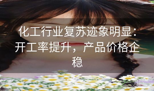 化工行业复苏迹象明显:开工率提升,产品价格企稳 化工行业复苏迹象明显:开工率提升,产品价格企稳