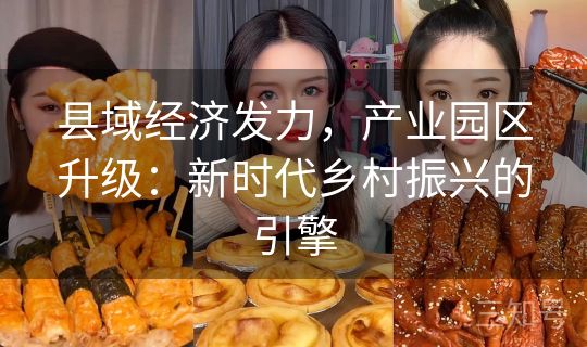 县域经济发力，产业园区升级：新时代乡村振兴的引擎