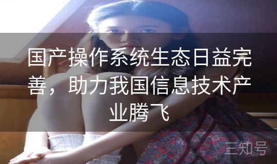 国产操作系统生态日益完善,助力我国信息技术产业腾飞 国产操作系统生态日益完善,助力我国信息技术产业腾飞