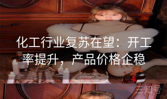 化工行业复苏在望:开工率提升,产品价格企稳 化工行业复苏在望:开工率提升,产品价格企稳