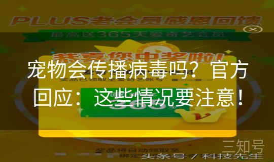 宠物会传播病毒吗？官方回应：这些情况要注意！