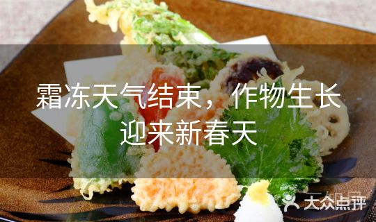 霜冻天气结束,作物生长迎来新春天 霜冻天气结束,作物生长迎来新春天