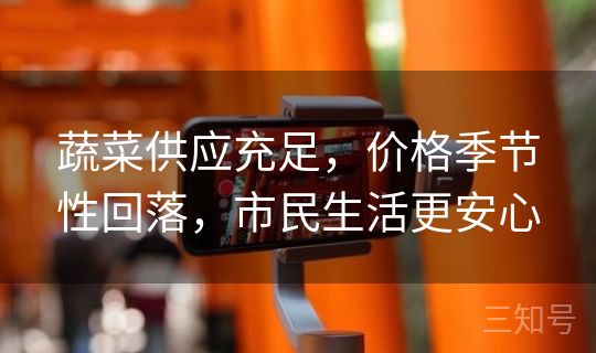 蔬菜供应充足，价格季节性回落，市民生活更安心