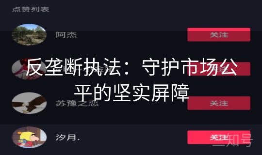 反垄断执法:守护市场公平的坚实屏障 反垄断执法:守护市场公平的坚实屏障