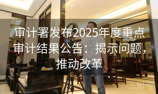 审计署发布2025年度重点审计结果公告：揭示问题，推动改革
