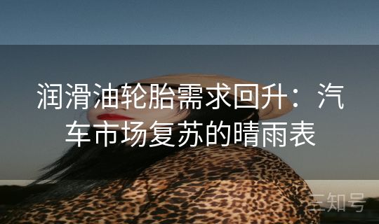 润滑油轮胎需求回升:汽车市场复苏的晴雨表 润滑油轮胎需求回升:汽车市场复苏的晴雨表
