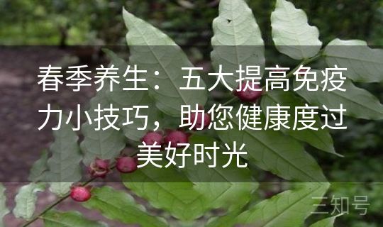 春季养生：五大提高免疫力小技巧，助您健康度过美好时光