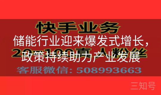 储能行业迎来爆发式增长,政策持续助力产业发展 储能行业迎来爆发式增长,政策持续助力产业发展