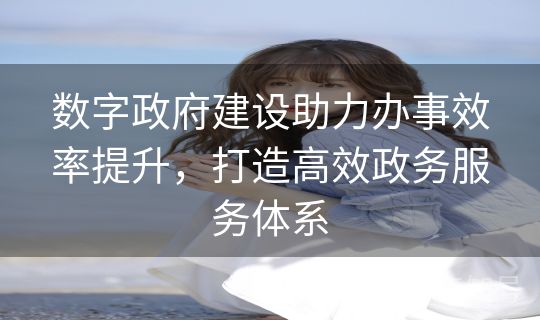 数字政府建设助力办事效率提升，打造高效政务服务体系