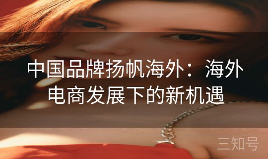 中国品牌扬帆海外：海外电商发展下的新机遇
