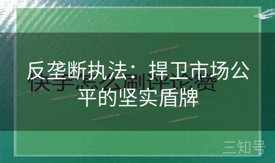 反垄断执法：捍卫市场公平的坚实盾牌