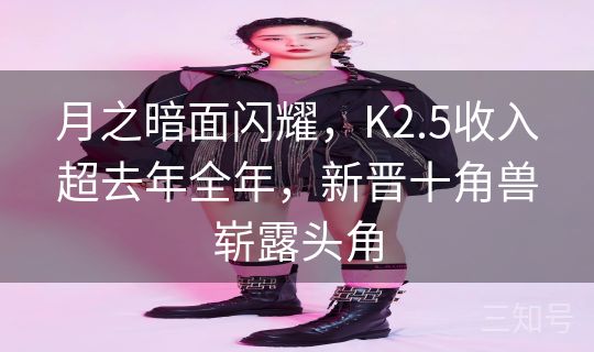 月之暗面闪耀，K2.5收入超去年全年，新晋十角兽崭露头角
