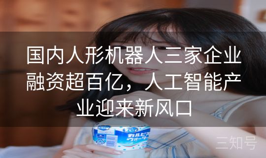 国内人形机器人三家企业融资超百亿，人工智能产业迎来新风口