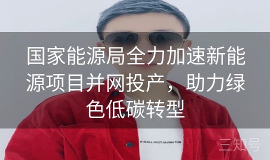 国家能源局全力加速新能源项目并网投产，助力绿色低碳转型