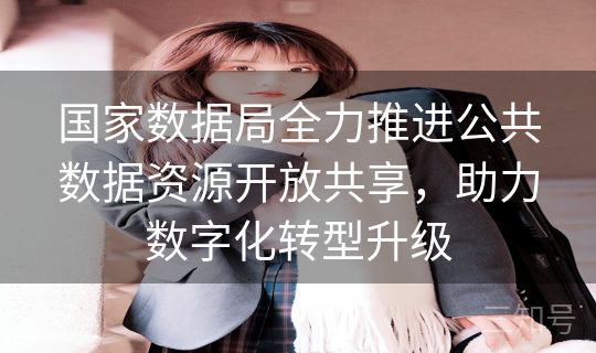 国家数据局全力推进公共数据资源开放共享,助力数字化转型升级 国家数据局全力推进公共数据资源开放共享,助力数字化转型升级