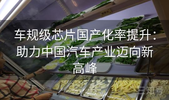 车规级芯片国产化率提升：助力中国汽车产业迈向新高峰