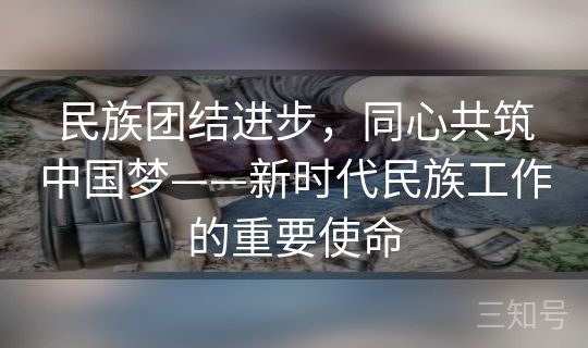 民族团结进步，同心共筑中国梦——新时代民族工作的重要使命