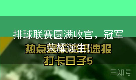 排球联赛圆满收官,冠军荣耀诞生! 排球联赛圆满收官,冠军荣耀诞生!