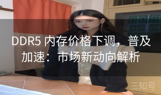DDR5 内存价格下调，普及加速：市场新动向解析