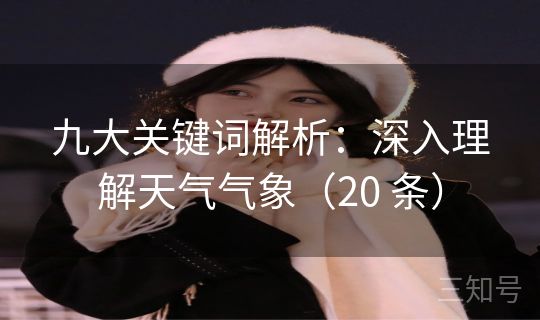 九大关键词解析：深入理解天气气象（20 条）