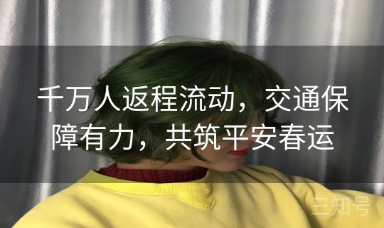 千万人返程流动,交通保障有力,共筑平安春运 千万人返程流动,交通保障有力,共筑平安春运