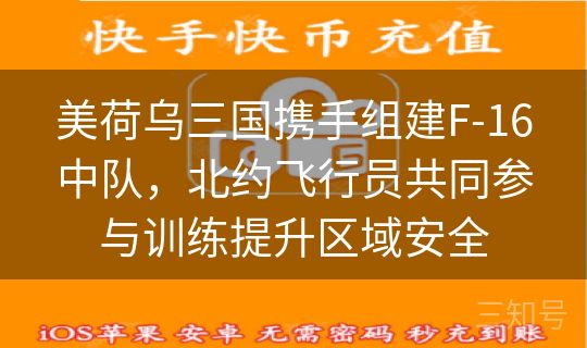 美荷乌三国携手组建F-16中队,北约飞行员共同参与训练提升区域安全 美荷乌三国携手组建F-16中队,北约飞行员共同参与训练提升区域安全