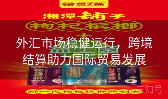 外汇市场稳健运行,跨境结算助力国际贸易发展 外汇市场稳健运行,跨境结算助力国际贸易发展