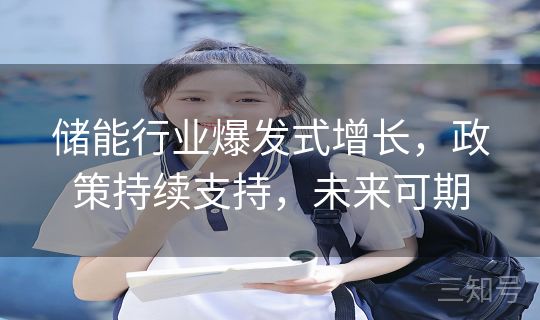 储能行业爆发式增长,政策持续支持,未来可期 储能行业爆发式增长,政策持续支持,未来可期