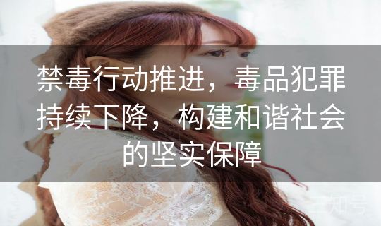 禁毒行动推进，毒品犯罪持续下降，构建和谐社会的坚实保障