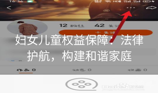 妇女儿童权益保障：法律护航，构建和谐家庭