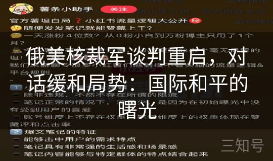俄美核裁军谈判重启,对话缓和局势:国际和平的曙光 俄美核裁军谈判重启,对话缓和局势:国际和平的曙光