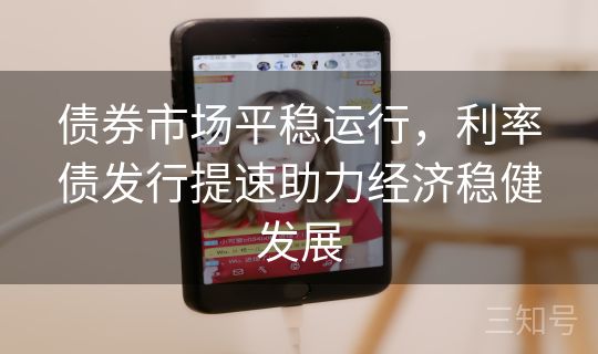 债券市场平稳运行，利率债发行提速助力经济稳健发展