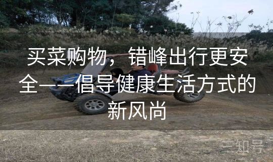 买菜购物，错峰出行更安全——倡导健康生活方式的新风尚