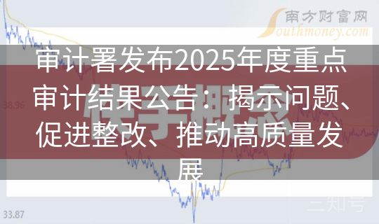 审计署发布2025年度重点审计结果公告：揭示问题、促进整改、推动高质量发展