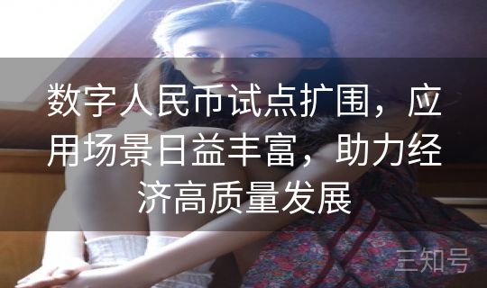 数字人民币试点扩围,应用场景日益丰富,助力经济高质量发展 数字人民币试点扩围,应用场景日益丰富,助力经济高质量发展