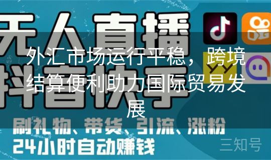 外汇市场运行平稳，跨境结算便利助力国际贸易发展
