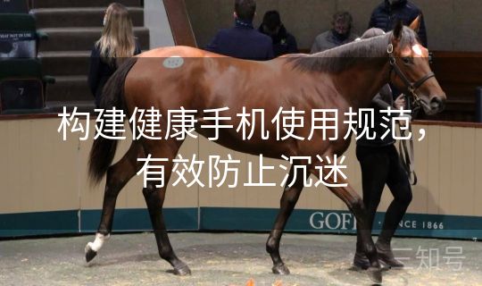 构建健康手机使用规范，有效防止沉迷