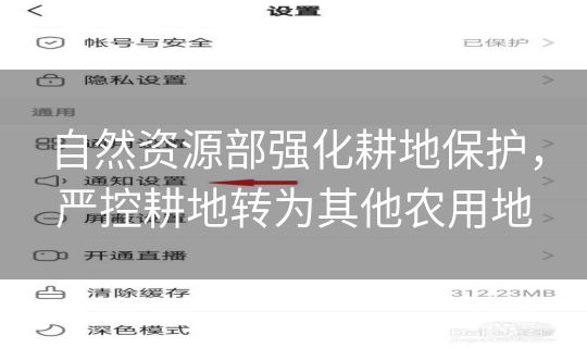 自然资源部强化耕地保护，严控耕地转为其他农用地